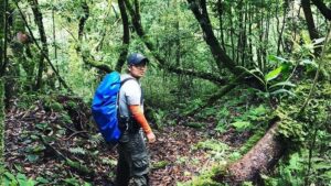 Kỹ năng sinh tồn trong rừng