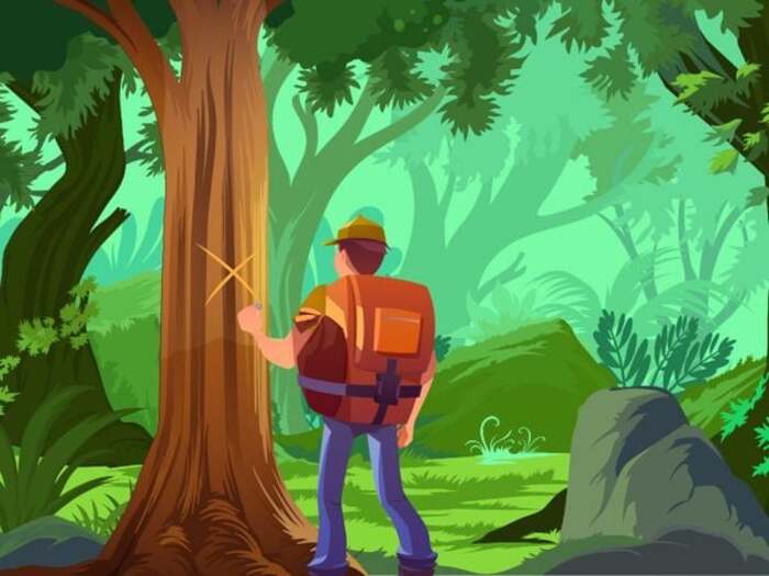 Tạo tín hiệu kêu cứu trên đường