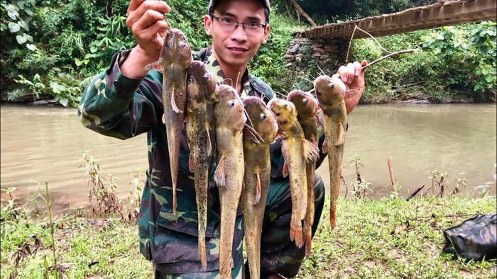 Tìm nguồn thức ăn