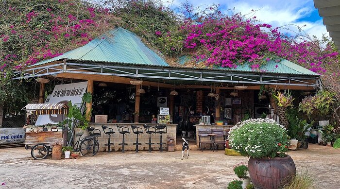 Cà phê chồn Trại hầm