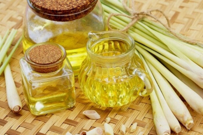 Dùng tinh dầu để xua đuổi rắn