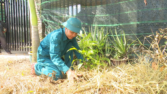 Dọn dẹp nhà, phát quang bụi rậm